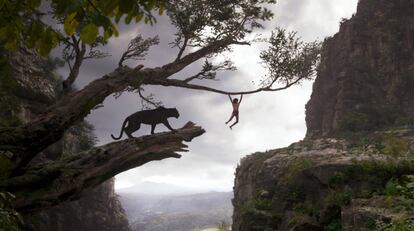 Fotograma de 'El libro de la selva' (2016), la versión del clásico con actores reales dirigida por Jon Favreau.