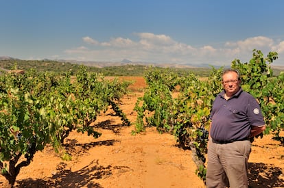 Vicente Flors, un viticultor y bodeguero que en 2008 fundó Bodega Flors en Les Useres. En la imagen, Flors en un viñedo de su propiedad.