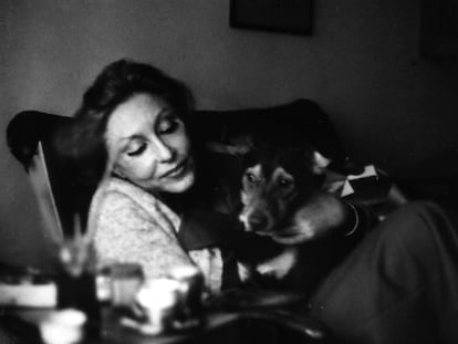 A biblioteca de segredos de Clarice Lispector