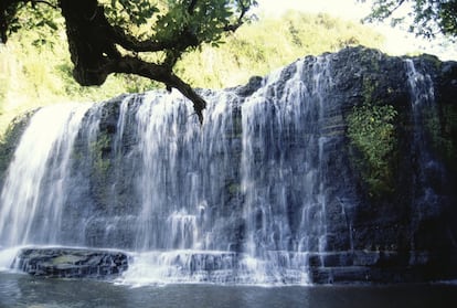 Uno de los principales recorridos por la isla son cascadas Talofofo.