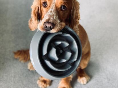 Tienen forma de laberinto para evitar que los animales puedan acceder directamente a toda la comida, disminuyendo su ansiedad. GETTY IMAGES.