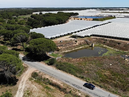 Vista aérea de los invernaderos ubicados en el entorno del espacio protegido de Doñana, en el término municipal Lucena del Puerto (Huelva), este miércoles.