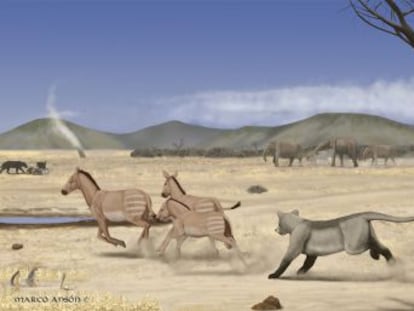 El clima era casi desértico y paseaban animales parecidos a los de una sabana africana actual