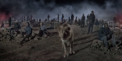 Un león entre humanos en la sabana.