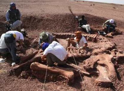 Los paleontólogos rescatan los restos del saurópodo 'Sninophorosaurus nigerensis', en Niger