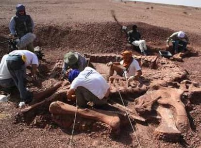 Los paleontólogos rescatan los restos del saurópodo 'Sninophorosaurus nigerensis', en Niger