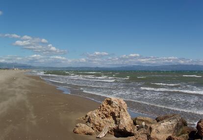 Playa Bassa de L'Arena, en Deltebre.