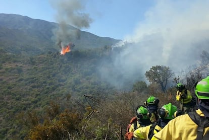 Imagen del incendio en Estepona (Málaga).