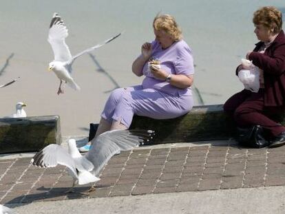 Dos mujeres asediadas por gaviotas, en el puerto de St Ives. 