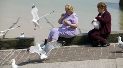 Dos mujeres asediadas por gaviotas, en el puerto de St Ives. 