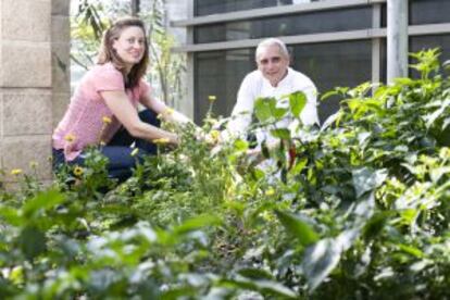 Fernanda Danelon e o chefe Thierry Buffeteau, do restaurante Eau French Grill, na horta do hotel Grand Hyatt.