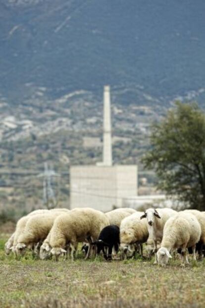 Central nuclear de Garo&ntilde;a (Burgos).