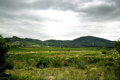 Terrenos incluidos en el PAI de Porxinos.
