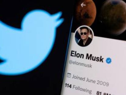 Isotipo de Twitter y cuenta de Musk en la red social.