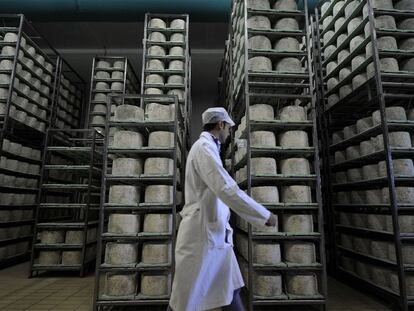 Fábrica de queso gorgonzola en Abbiategrasso, en la provincia de Milán, una de las más dinámicas de Italia.