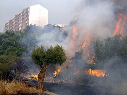El fuego amenazaba ayer la ciudad de Abrantes, en el centro de Portugal.