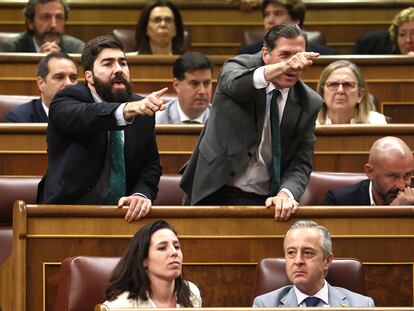 Los diputados de Vox, Manuel Mariscal Zabala y Pedro Fernández Hernández, reaccionan tras la intervención del diputado de Sumar, Gerardo Pisarello durante el pleno del Congreso.