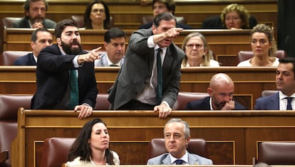 Los diputados de Vox Manuel Mariscal Zabala (izquierda) y Pedro Fernández Hernández (deracha) reaccionan tras la intervención del diputado de Sumar Gerardo Pisarello, en el Congreso.