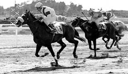 Dos jinetes, durante la prueba de ayer en el hipódromo de Mijas.