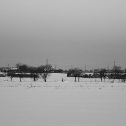 Tal vez trataran de alcanzar el horizonte invisible, llegar más lejos de lo que ningún otro vecino había logrado. En la imagen, el parque Polvoranca (Alcorcón).