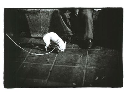 La Jessica Lange fotógrafa llega a Madrid