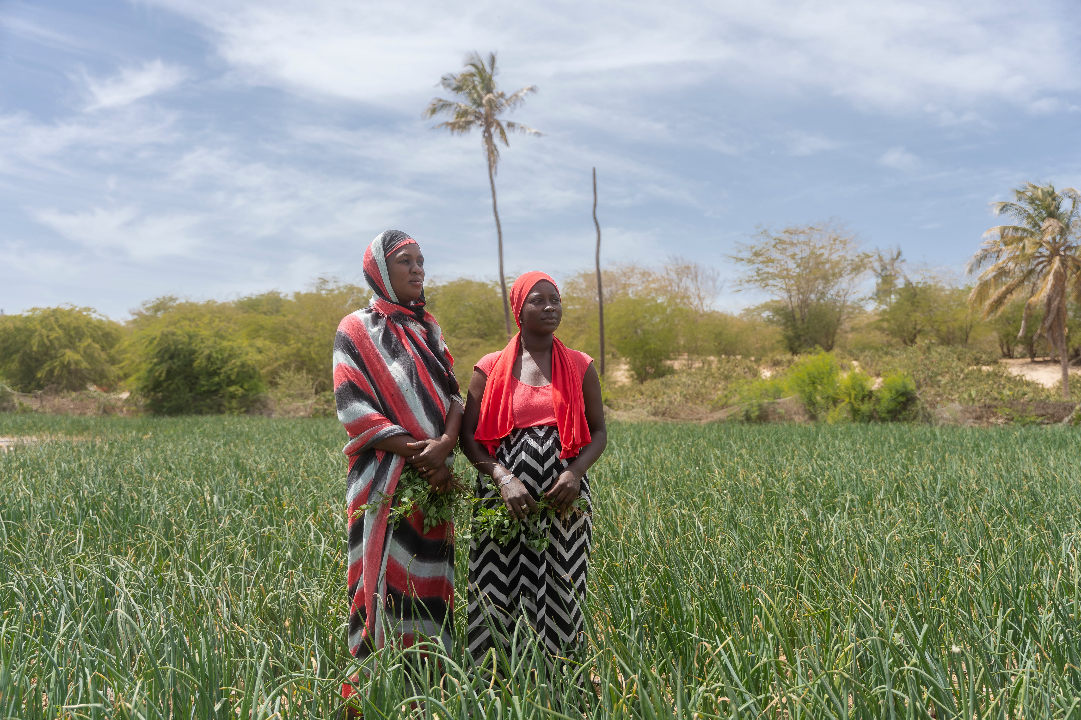 Matrimonios a distancia y mujeres `tuteladas’ por los suegros: el pueblo de Senegal al que la migración arrebató a los esposos