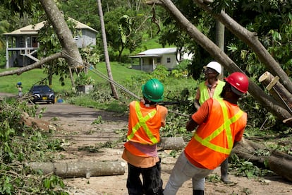 Personal de seguridad civil despeja una calle en Sauteurs, en la isla de Granada, luego de que árboles colapsaran al pasar el huracán.