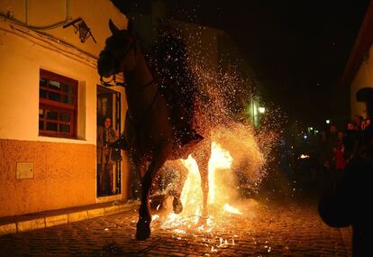 Un jinete recorre las calles de San Bartolomé de Pinares durante la celebración de las luminarias.