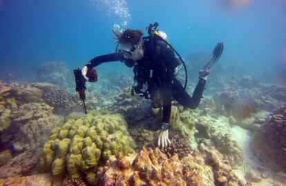 El científico de Georgia Tech, Kim Cobb, en la remota isla del Pacífico de Kiritimati, encontrando un poco de esperanza y vida entre lo que en abril fue un pueblo fantasma de coral muerto.