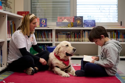 Perros en la biblioteca Cintruenigo