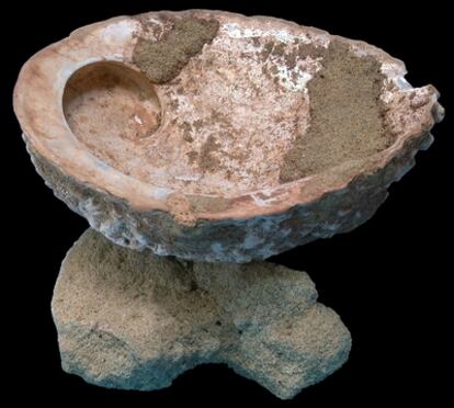 Una concha con restos de ocre, de hace 100.000 años, hallada en la cueva de Blombos, en Suráfrica.