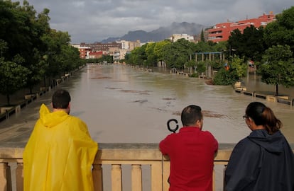 Desbordamiento del río Segura a su paso por la localidad alicantina de Orihuela, este viernes.