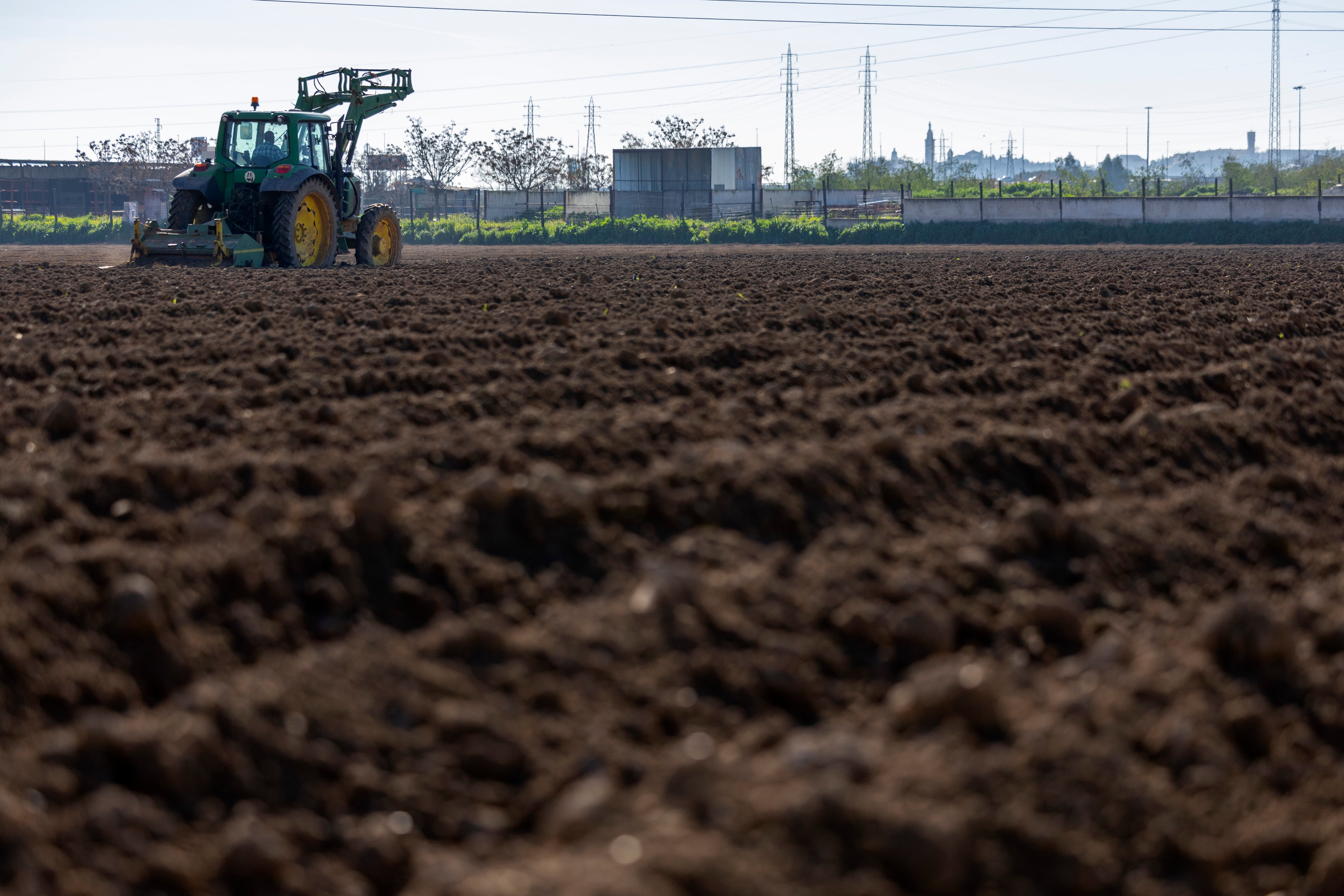 Trabajos agrícolas