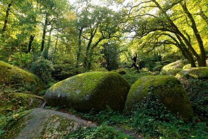 Entre los roquedos cubiertos de musgo del parque natural regional de Armónica, en la región francesa de vacaciones-bretana.com