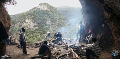 Un grupo de cameruneses asan un jabalí en la cueva donde viven.