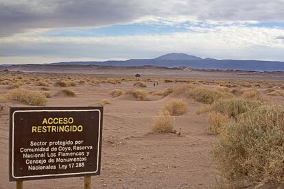 El Estado chileno y las comunidades indígenas comparten la gestión de la reserva natural Los Flamencos. 