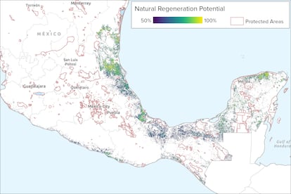 Las áreas naturales protegidas (en rojo) sobre áreas con un potencial de regeneración forestal natural superior al 50 % en todo México.