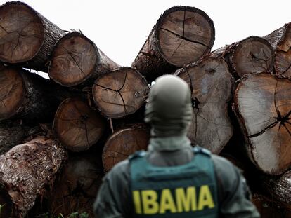 agente ambiental durante una redada contra la tala ilegal en Placas, en el estado de Pará, Brasil, el 20 de enero 2023