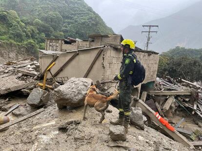 Un binomio canino busca víctimas tras la avalancha de este martes en Quetame.