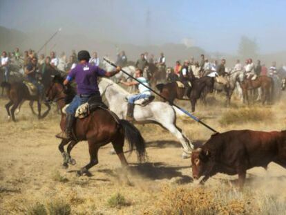 El torneo del toro de la Vega, que se celebra en Tordesillas.