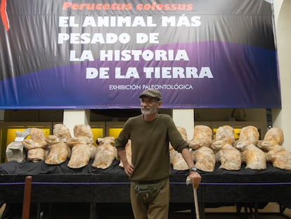 El paleontólogo Mario Urbina, en Lima (Perú), el 12 de agosto