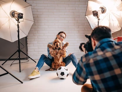 Bienestar animal en el sector audiovisual: de la conciencia al cumplimiento normativo