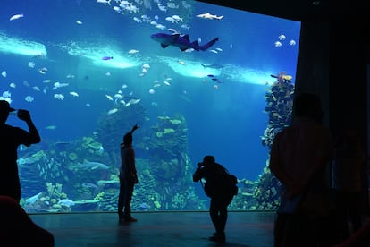 Acuario de Mazatlán