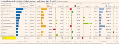 Socimis