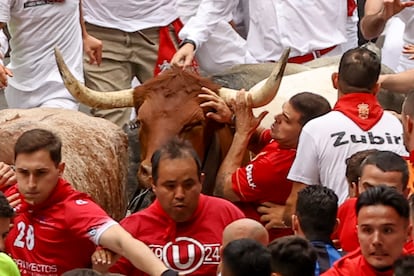 Uno de los corredores cae al suelo ante uno de los astados de  la ganadería abulense de José Escolar, durante el séptimo encierro de San Fermín.