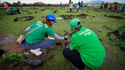 La compañía implementa cada año acciones de voluntariado vinculadas a la plantación de árboles con el apoyo de personal de la empresa, habitantes de las comunidades y clientes.