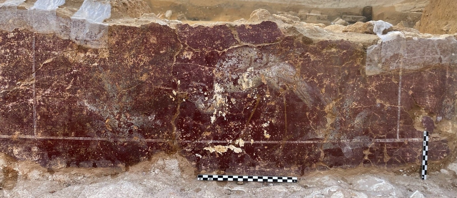 Pinturas murales con espacios nilóticos (garzas entre juncos) encontrados en una excavación en Cádiz en un posible edificio cultual dedicado a Isis