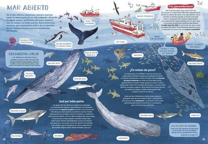 Doble página de 'Océanos... y cómo salvarlos', de Amandine Thomas, editado por Errata Naturae.