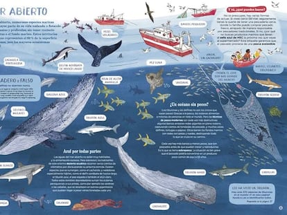 Doble página de 'Océanos... y cómo salvarlos', de Amandine Thomas, editado por Errata Naturae.