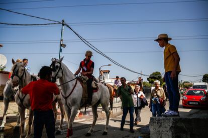 Los vecinos se acercan para contemplar el paso de los caballos y carros. Más de una veintena de animales han recorrido tres kilómetros desde donde se guarda la virgen hasta un prado cerca de M-50.